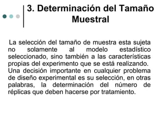 3. Determinación del Tamaño
Muestral
La selección del tamaño de muestra esta sujeta
no
solamente
al
modelo
estadístico
seleccionado, sino también a las características
propias del experimento que se está realizando.
Una decisión importante en cualquier problema
de diseño experimental es su selección, en otras
palabras, la determinación del número de
réplicas que deben hacerse por tratamiento.

 