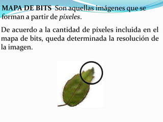 MAPA DE BITS Son aquellas imágenes que se
forman a partir de píxeles.
De acuerdo a la cantidad de píxeles incluida en el
mapa de bits, queda determinada la resolución de
la imagen.
 