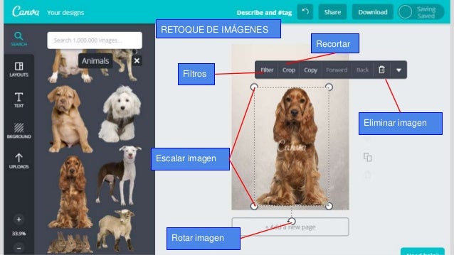 Diseño gráfico con Canva