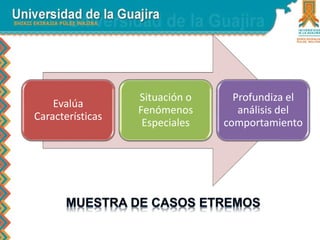 Evalúa 
Características 
Situación o 
Fenómenos 
Especiales 
Profundiza el 
análisis del 
comportamiento 
 
