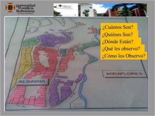   Una coexistencia en el tiempo