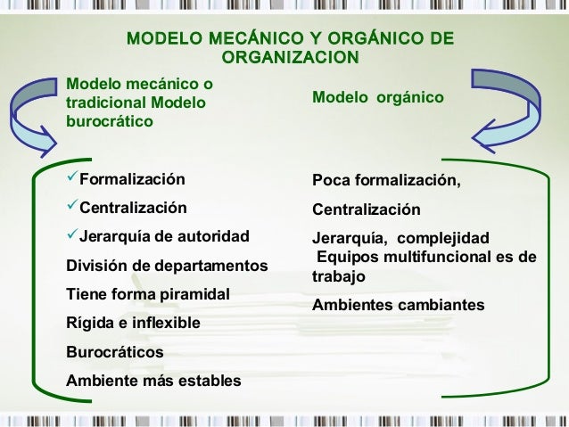 Diseño organizacional