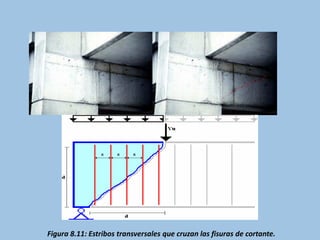 Figura 8.11: Estribos transversales que cruzan las fisuras de cortante.
 