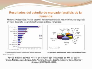 Resultados del estudio de mercado (análisis de la
demanda
Alemania, Países Bajos, Francia, España e Italia son los mercados más atractivos para los países
en vía de desarrollo, con productos tropicales (exóticos) y orgánicos.

UE-importaciones de zumos y concentrados de frutas, € millones

UE-principales importadores de zumos y concentrados de frutas

Fuente: Legiscomex, 2005

HOY La demanda de Piñas Frescas en el mundo son consumidos en 90% por Estados
Unidos, Francia, Japón, Bélgica, Italia, Alemania, Canadá , España, Inglaterra, Corea, Holanda y
Singapur. B2BCTRADE, (2013)

 