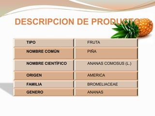DESCRIPCION DE PRODUCTO
TIPO

FRUTA

NOMBRE COMÚN

PIÑA

NOMBRE CIENTÍFICO

ANANAS COMOSUS (L.)

ORIGEN

AMERICA

FAMILIA

BROMELIACEAE

GENERO

ANANAS

 
