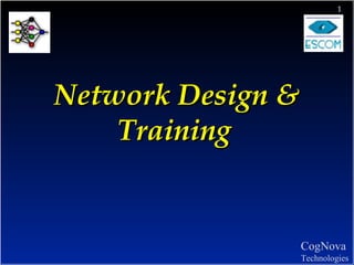 Network Design & Training   