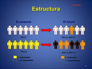 E structura Cohorte  =  expuestos =  no expuestos FR (-)  El  presente FR (+)  Enf (-), Enf (+)  Enf (-), Enf (+)  El  futuro =  enfermos =  no enfermos 