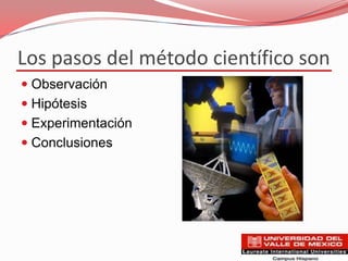 Los pasos del método científico son
 Observación
 Hipótesis
 Experimentación
 Conclusiones
 
