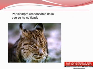 Por siempre responsable de lo
que se ha cultivado
 