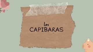 Los
CAPIBARAS
 
