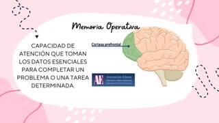 Memoria Operativa
CAPACIDAD DE
ATENCIÓN QUE TOMAN
LOS DATOS ESENCIALES
PARA COMPLETAR UN
PROBLEMA O UNA TAREA
DETERMINADA.
 