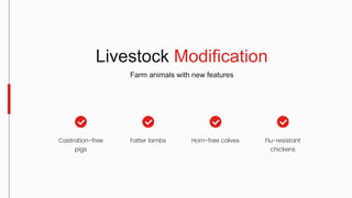 Livestock Modification
Farm animals with new features
Fatter lambs
Castration-free
pigs
Horn-free calves Flu-resistant
chickens
 