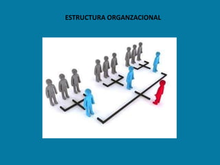 ESTRUCTURA ORGANZACIONAL
 