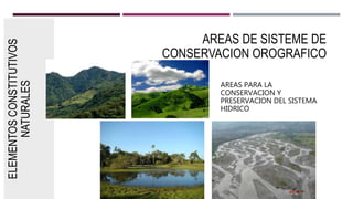 ELEMENTOSCONSTITUTIVOS
NATURALES
AREAS DE SISTEME DE
CONSERVACION OROGRAFICO
AREAS PARA LA
CONSERVACION Y
PRESERVACION DEL SISTEMA
HIDRICO
 