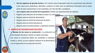  Uso de registros de ganado lechero.- En muchos casos el ganadero parte de suposiciones para eliminar
a las vacas poco productivas, alimentar y producir su hato; pero la experiencia demuestra que la mayor
parte de esas suposiciones no son acertadas y es más sencillo y ventajosos.
 usar registro para el control de la ganadería. Existen los siguientes tipos de registros:
Registro para selección de animales en base a su crecimiento.
Registro para el control de alimentación.
Registro para el control de producción de leche.
Registro para el control reproductivo.
Registro para el control sanitario y calendario sanitario.
A. MANEJO DE VACUNOS RAZA HOLSTEIN
a) Manejo de las vacas en producción.- La producción se
inicia después del parto o aborto en estado avanzado.
Las vacas en producción deben ser sometidas a cuidadoso
manejo y control, ya que cualquier variación en la alimentación
o en el repercutirá en la producción la leche.
 