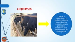 OBJETIVOS:
Diseñar e
implementar un
establo que brinde
las condiciones
necesarias para su
proceso de
explotación en el
departamento de
Lambayeque.
 
