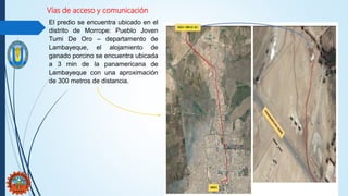 Vías de acceso y comunicación
El predio se encuentra ubicado en el
distrito de Morrope: Pueblo Joven
Tumi De Oro – departamento de
Lambayeque, el alojamiento de
ganado porcino se encuentra ubicada
a 3 min de la panamericana de
Lambayeque con una aproximación
de 300 metros de distancia.
 