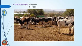  POBLACIÓN BASE: N animales
N = 1000
 