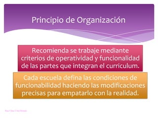 Principio de OrganizaciónRosa Elena Vélez Miranda