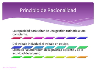 Principio de RacionalidadRosa Elena Vélez Miranda