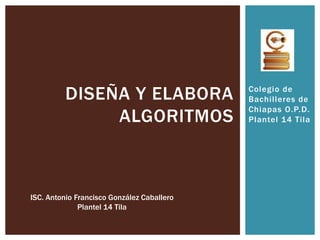 DISEÑA Y ELABORA                  Colegio de
                                            Bachilleres de
                  ...