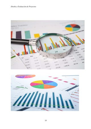 Diseño y Evaluación de Proyectos
13
 