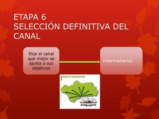 ETAPA 6
SELECCIÓN DEFINITIVA DEL
CANAL
Elije el canal
que mejor se
ajusta a sus
objetivos
Intermediarios
 