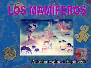 Antonia Espinoza Sepúlveda LOS MAMÍFEROS 
