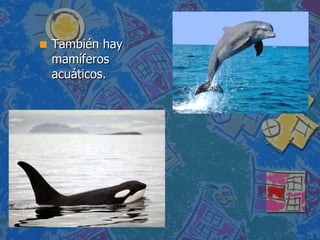 También hay mamíferos acuáticos. 