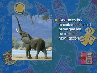 Casi todos los mamíferos tienen 4 patas que les permiten su movilización. 