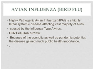 AVIAN INFLUENZA (BIRD FLU)
• Highly Pathogenic Avian Influenza(HPAI) is a highly
lethal systemic disease affecting vast majority of birds.
• caused by the Influenza Type A virus.
• H5N1 causes bird flu
• Because of the zoonotic as well as pandemic potential,
the disease gained much public health importance.
• .
 