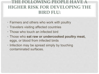 THE FOLLOWING PEOPLE HAVE A
HIGHER RISK FOR DEVELOPING THE
BIRD FLU:
• Farmers and others who work with poultry
• Travelers visiting affected countries
• Those who touch an infected bird
• Those who eat raw or undercooked poultry meat,
eggs, or blood from infected birds
• Infection may be spread simply by touching
contaminated surfaces.
 