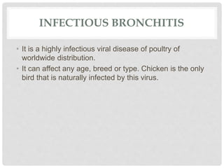 INFECTIOUS BRONCHITIS
• It is a highly infectious viral disease of poultry of
worldwide distribution.
• It can affect any age, breed or type. Chicken is the only
bird that is naturally infected by this virus.
 
