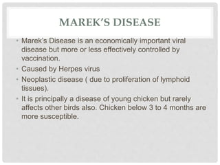 MAREK’S DISEASE
• Marek’s Disease is an economically important viral
disease but more or less effectively controlled by
vaccination.
• Caused by Herpes virus
• Neoplastic disease ( due to proliferation of lymphoid
tissues).
• It is principally a disease of young chicken but rarely
affects other birds also. Chicken below 3 to 4 months are
more susceptible.
 