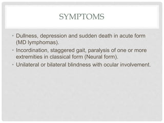 SYMPTOMS
• Dullness, depression and sudden death in acute form
(MD lymphomas).
• Incordination, staggered gait, paralysis of one or more
extremities in classical form (Neural form).
• Unilateral or bilateral blindness with ocular involvement.
 