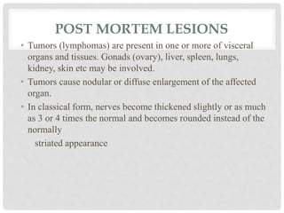 POST MORTEM LESIONS
• Tumors (lymphomas) are present in one or more of visceral
organs and tissues. Gonads (ovary), liver, spleen, lungs,
kidney, skin etc may be involved.
• Tumors cause nodular or diffuse enlargement of the affected
organ.
• In classical form, nerves become thickened slightly or as much
as 3 or 4 times the normal and becomes rounded instead of the
normally
striated appearance
 