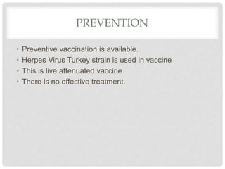 PREVENTION
• Preventive vaccination is available.
• Herpes Virus Turkey strain is used in vaccine
• This is live attenuated vaccine
• There is no effective treatment.
 
