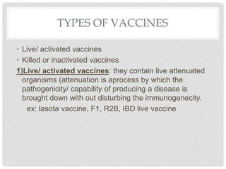 TYPES OF VACCINES
• Live/ activated vaccines
• Killed or inactivated vaccines
1)Live/ activated vaccines: they contain live attenuated
organisms (attenuation is aprocess by which the
pathogenicity/ capability of producing a disease is
brought down with out disturbing the immunogenecity.
ex: lasota vaccine, F1, R2B, IBD live vaccine
 