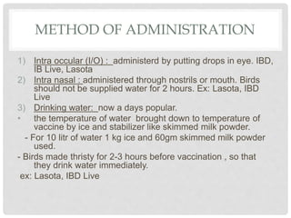 METHOD OF ADMINISTRATION
1) Intra occular (I/O) : administerd by putting drops in eye. IBD,
IB Live, Lasota
2) Intra nasal : administered through nostrils or mouth. Birds
should not be supplied water for 2 hours. Ex: Lasota, IBD
Live
3) Drinking water: now a days popular.
• the temperature of water brought down to temperature of
vaccine by ice and stabilizer like skimmed milk powder.
- For 10 litr of water 1 kg ice and 60gm skimmed milk powder
used.
- Birds made thristy for 2-3 hours before vaccination , so that
they drink water immediately.
ex: Lasota, IBD Live
 