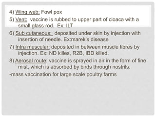 4) Wing web: Fowl pox
5) Vent: vaccine is rubbed to upper part of cloaca with a
small glass rod. Ex: ILT
6) Sub cutaneous: deposited under skin by injection with
insertion of needle. Ex:marek’s disease
7) Intra muscular: deposited in between muscle fibres by
injection. Ex: ND killes, R2B, IBD killed.
8) Aerosal route: vaccine is sprayed in air in the form of fine
mist, which is absorbed by birds through nostrils.
-mass vaccination for large scale poultry farms
 