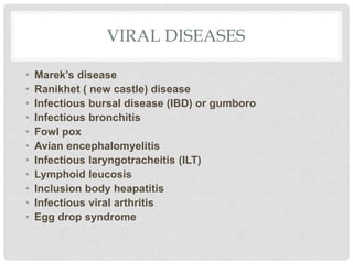 VIRAL DISEASES
• Marek’s disease
• Ranikhet ( new castle) disease
• Infectious bursal disease (IBD) or gumboro
• Infectious bronchitis
• Fowl pox
• Avian encephalomyelitis
• Infectious laryngotracheitis (ILT)
• Lymphoid leucosis
• Inclusion body heapatitis
• Infectious viral arthritis
• Egg drop syndrome
 