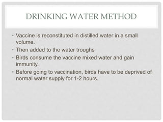 DRINKING WATER METHOD
• Vaccine is reconstituted in distilled water in a small
volume.
• Then added to the water troughs
• Birds consume the vaccine mixed water and gain
immunity.
• Before going to vaccination, birds have to be deprived of
normal water supply for 1-2 hours.
 
