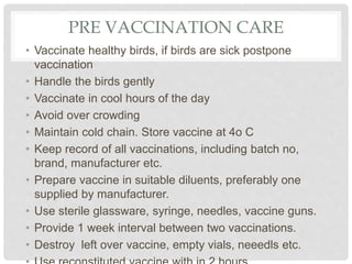PRE VACCINATION CARE
• Vaccinate healthy birds, if birds are sick postpone
vaccination
• Handle the birds gently
• Vaccinate in cool hours of the day
• Avoid over crowding
• Maintain cold chain. Store vaccine at 4o C
• Keep record of all vaccinations, including batch no,
brand, manufacturer etc.
• Prepare vaccine in suitable diluents, preferably one
supplied by manufacturer.
• Use sterile glassware, syringe, needles, vaccine guns.
• Provide 1 week interval between two vaccinations.
• Destroy left over vaccine, empty vials, neeedls etc.
 