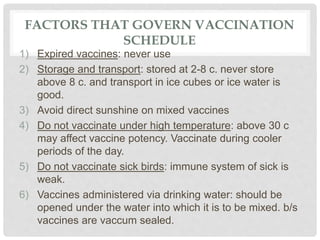 FACTORS THAT GOVERN VACCINATION
SCHEDULE
1) Expired vaccines: never use
2) Storage and transport: stored at 2-8 c. never store
above 8 c. and transport in ice cubes or ice water is
good.
3) Avoid direct sunshine on mixed vaccines
4) Do not vaccinate under high temperature: above 30 c
may affect vaccine potency. Vaccinate during cooler
periods of the day.
5) Do not vaccinate sick birds: immune system of sick is
weak.
6) Vaccines administered via drinking water: should be
opened under the water into which it is to be mixed. b/s
vaccines are vaccum sealed.
 