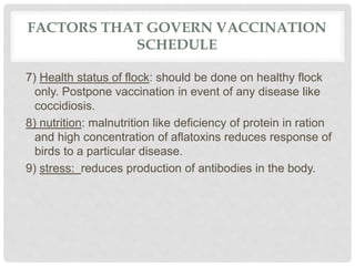 FACTORS THAT GOVERN VACCINATION
SCHEDULE
7) Health status of flock: should be done on healthy flock
only. Postpone vaccination in event of any disease like
coccidiosis.
8) nutrition: malnutrition like deficiency of protein in ration
and high concentration of aflatoxins reduces response of
birds to a particular disease.
9) stress: reduces production of antibodies in the body.
 