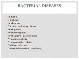 BACTERIAL DISEASES
• Pullorum
• Omphalitis
• Fowl coryza
• Chronic respiratory disease
• Fowl typhoid
• Fowl paratyphoid
• Fowl cholera ( pasturellosis)
• Avian tuberculosis
• Avian paratuberculosis
• Coliform infection
• Clostridial infections (botulinum)
 