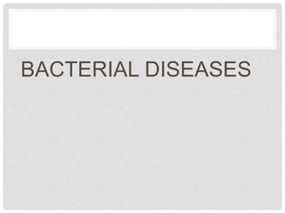 BACTERIAL DISEASES
 