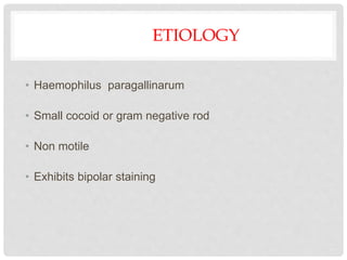 ETIOLOGY
• Haemophilus paragallinarum
• Small cocoid or gram negative rod
• Non motile
• Exhibits bipolar staining
 