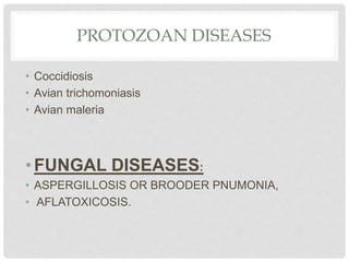 PROTOZOAN DISEASES
• Coccidiosis
• Avian trichomoniasis
• Avian maleria
•FUNGAL DISEASES:
• ASPERGILLOSIS OR BROODER PNUMONIA,
• AFLATOXICOSIS.
 
