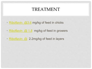 TREATMENT
• Riboflavin @3.6 mg/kg of feed in chicks
• Riboflavin @ 1.8 mg/kg of feed in growers
• Riboflavin @ 2.2mg/kg of feed in layers
 